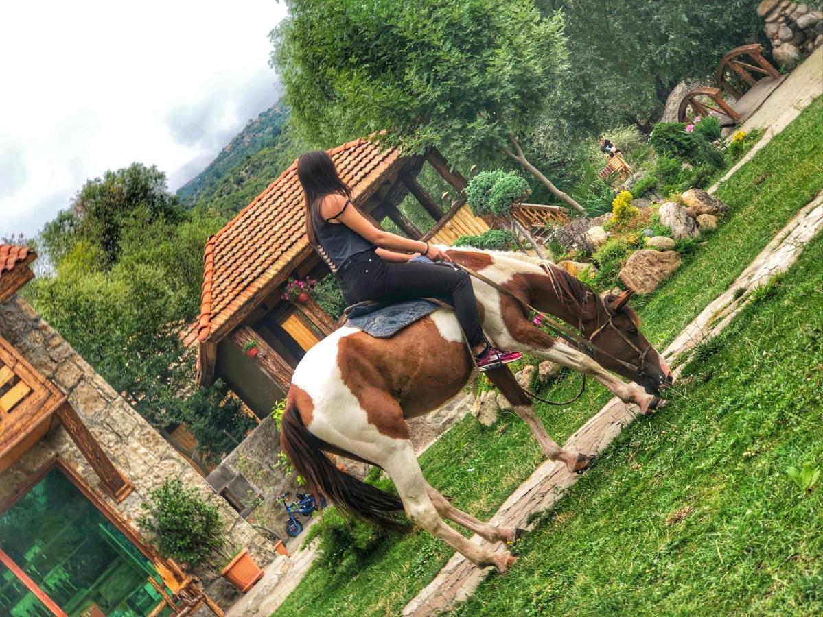 Getahovit Resort Ijevan Dış mekan fotoğraf
